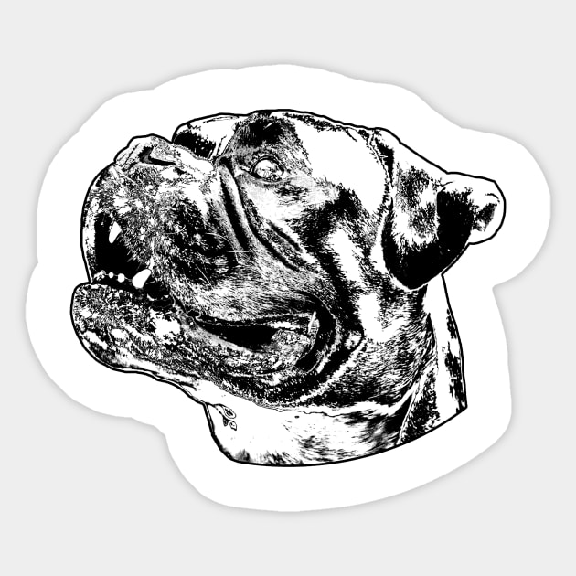 Boxer dog head schwaz Sticker by Monstershirts